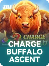 Charge Buffalo Ascent