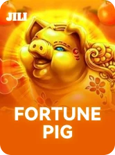Fortune Pig