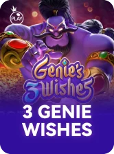 3 Genie Wishes