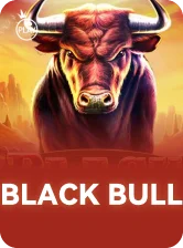 Black Bull