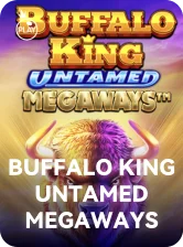 Buffalo King Untamed Megaways