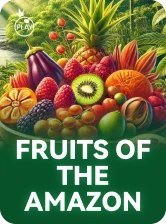 Fruits of the Amazon