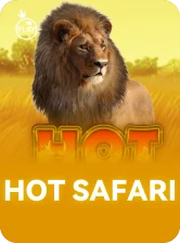 Hot Safari