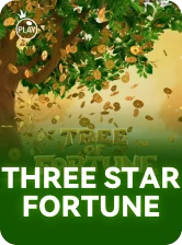 Three Star Fortune